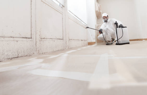 Post-remediation clearance in Warren